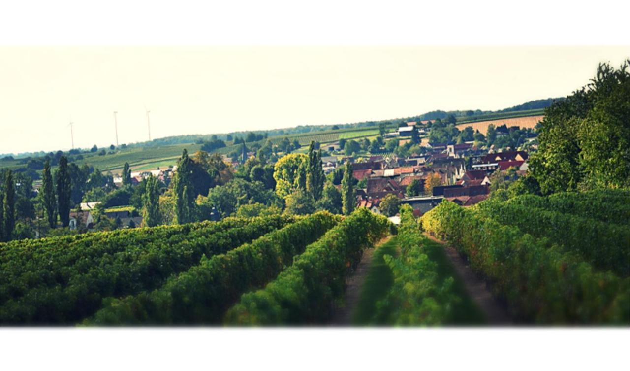Ferienhaus & Weingut Am Steingebiss Billigheim-Ingenheim Exterior foto